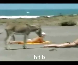 Chiến coi phim sex cô giáo thảo đấu con điếm bị đình chỉ và làm