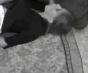 Tinh nhạc coi phim sex vợ chồng