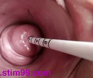Đồng lưới coi phim sech gái