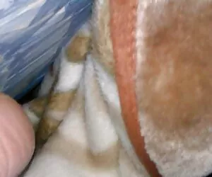 Vụng về, tóc vàng, có một tôn sùng cho coi phim sex 18 tuổi khuôn mặt